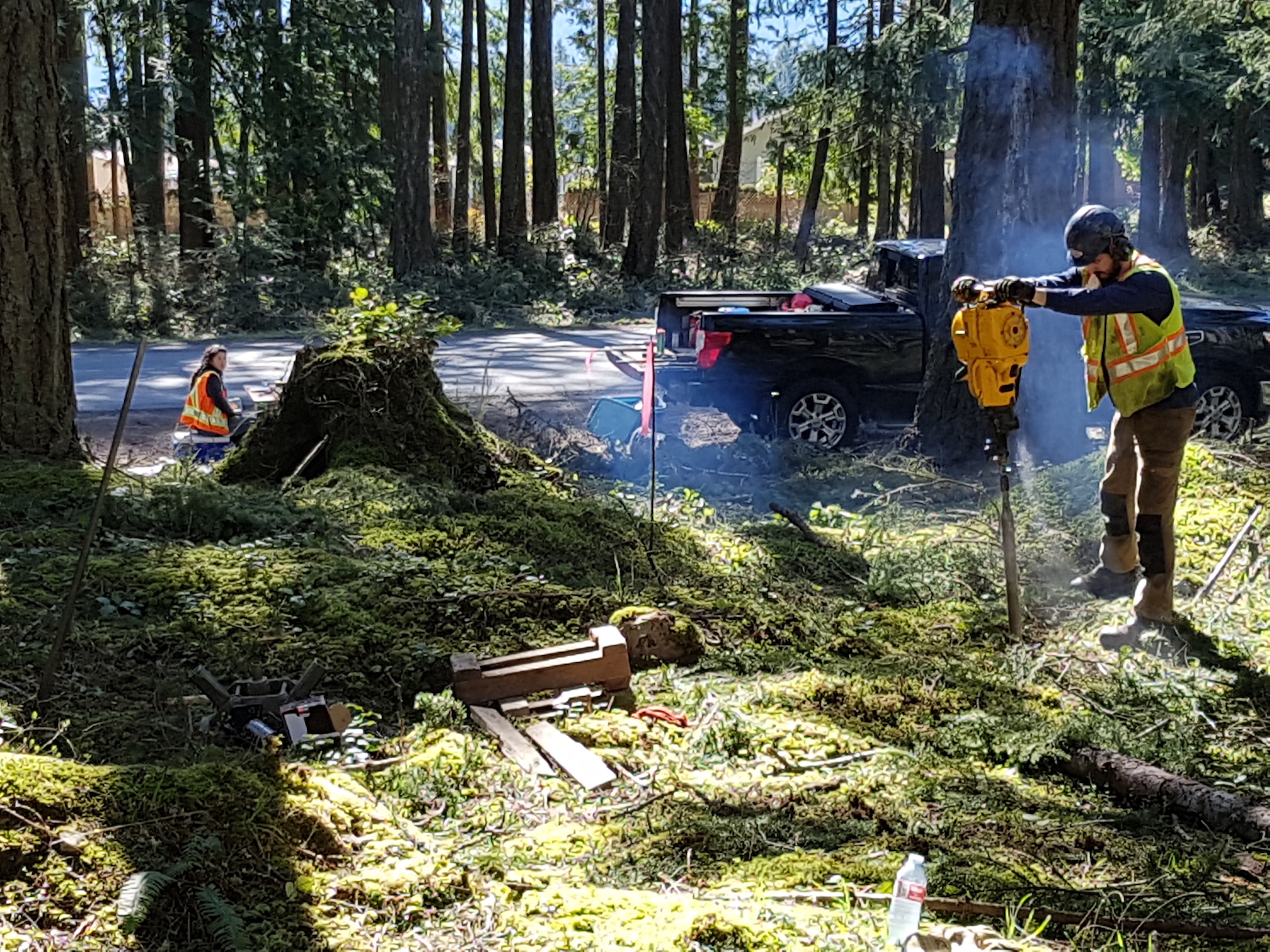 Sampling in woods near prison near Nanaimo